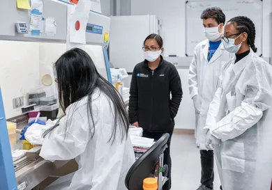 Misha Friedman/Getty Images