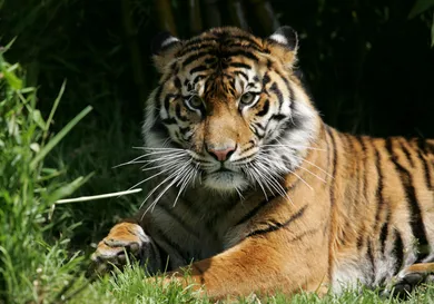 Justin Sullivan / Getty Images