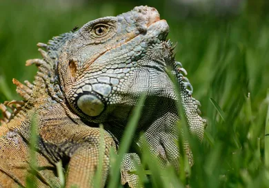 Joe Raedle/Getty Images