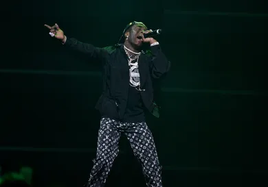 Steven Ferdman/Getty Images for TIDAL