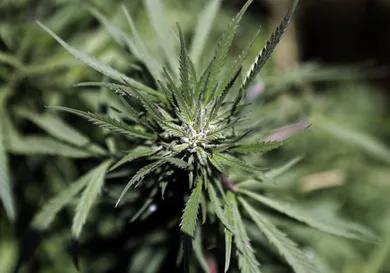 OSEPH EID/AFP/Getty Images