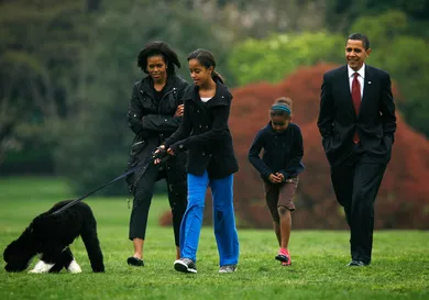 Alex Wong / Getty Images