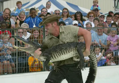 Mark Wilson/Getty Images