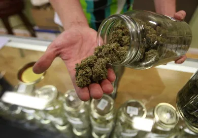 David McNew/Getty Images