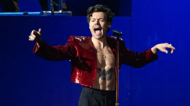 Harry Styles Hit In The Face With An Object During Show