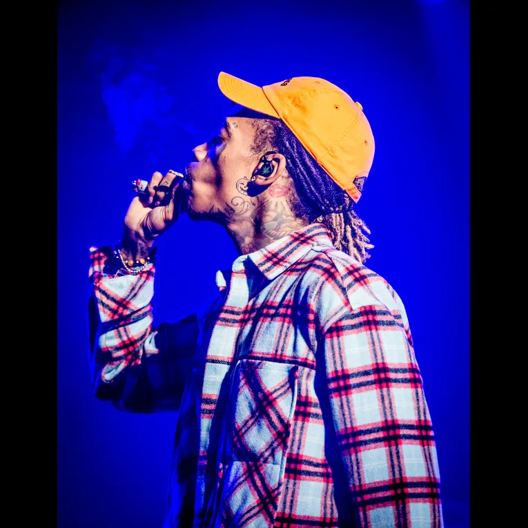 Rappers Who Have Their Own THC Brand