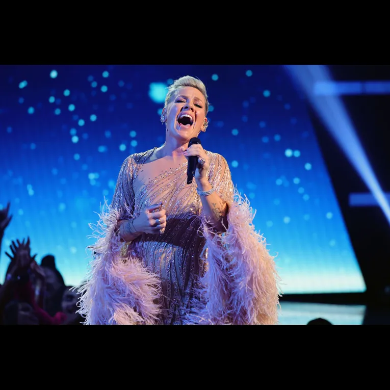 Pink Fan Throws Mother's Ashes On Stage: 