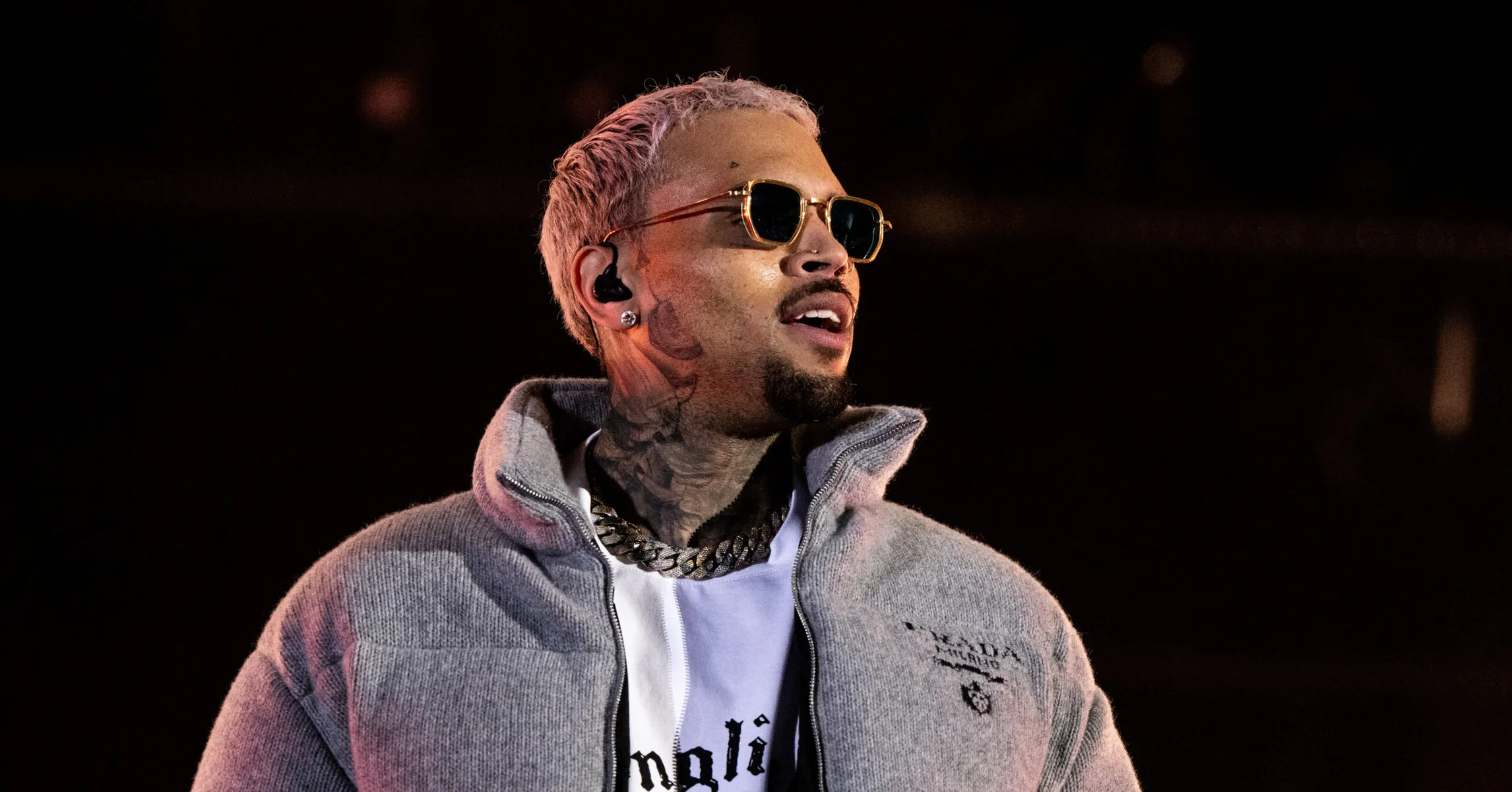 Chris Brown’s Ex-Housekeeper Pushing To Show Graphic Photos From Alleged Dog Attack