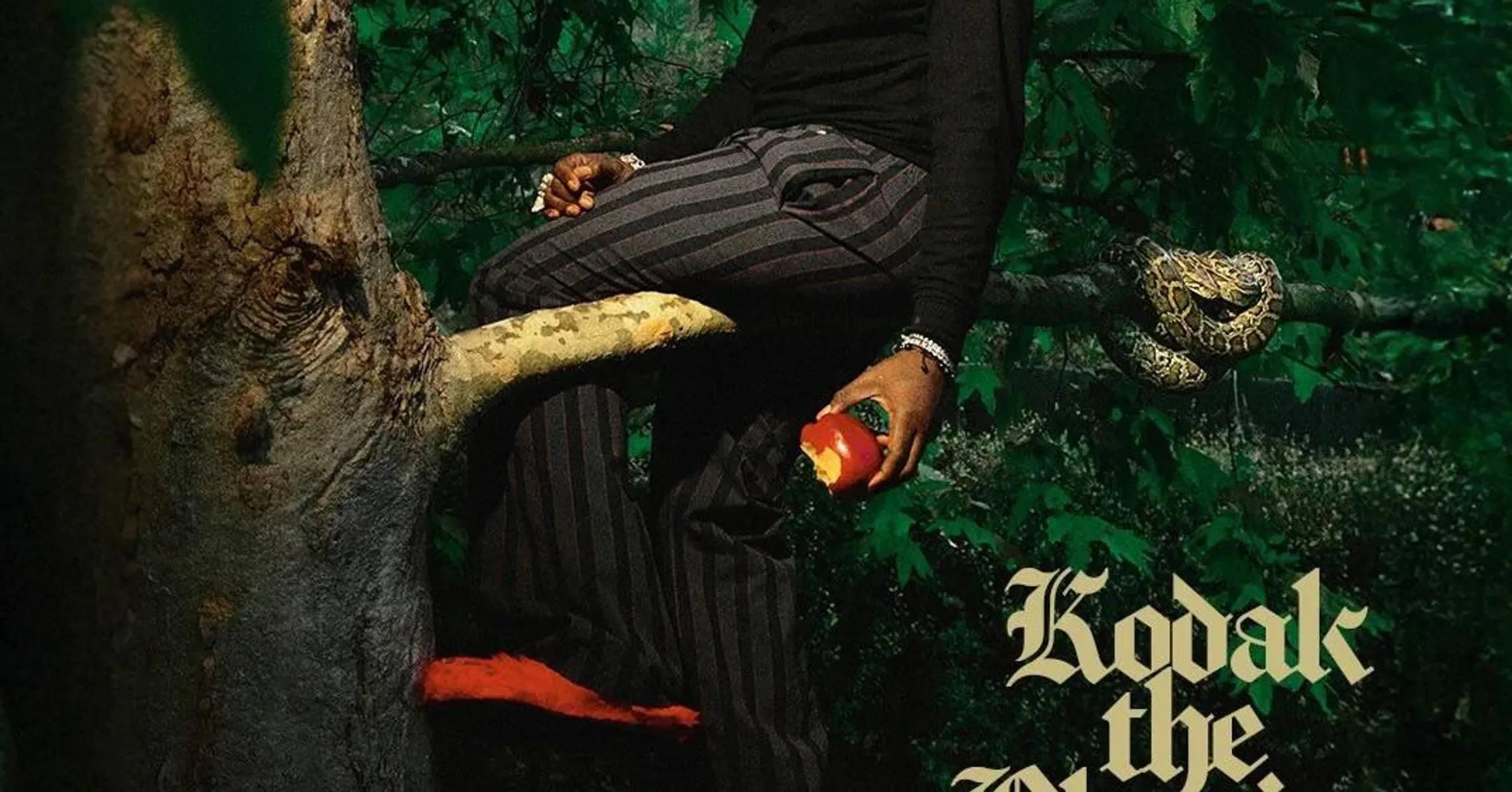 Kodak The Blessing — Album by Kodak Black