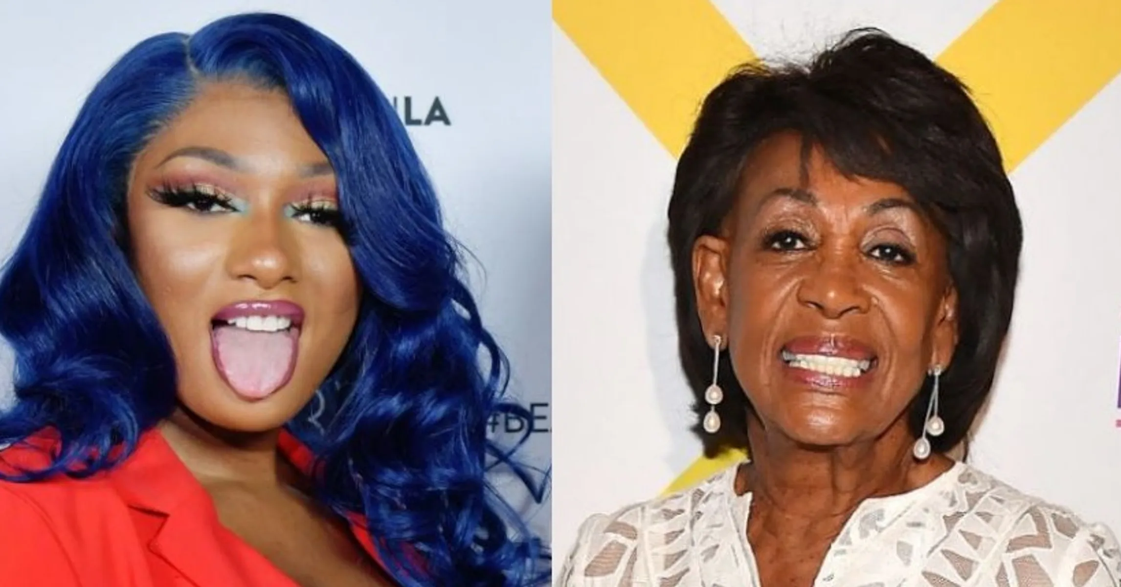 Megan Thee Stallion Praised By Maxine Waters For Having "Audacity" On "WAP"