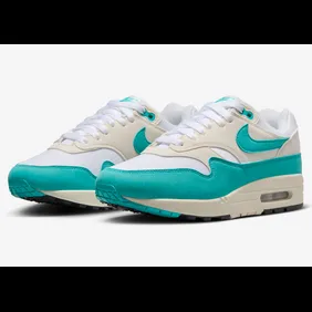 air max 1 dusty cactus