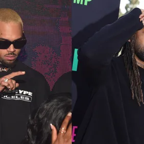 Chris Brown Ty Dolla Sign Motion Dog Attack Lawsuit