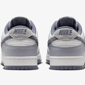 Nike-Dunk-Low-Light-Carbon-FJ4188-100-5