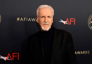 AFI Awards Luncheon - Red Carpet
