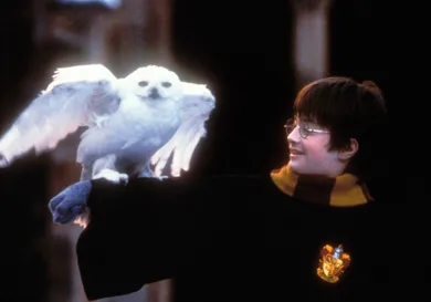 Harry Potter and The Sorcerer's Stone - Movie Stills
