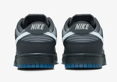 Nike-Dunk-Low-Anthracite-Pure-Platinum-Cool-Grey-FV0384-001-5