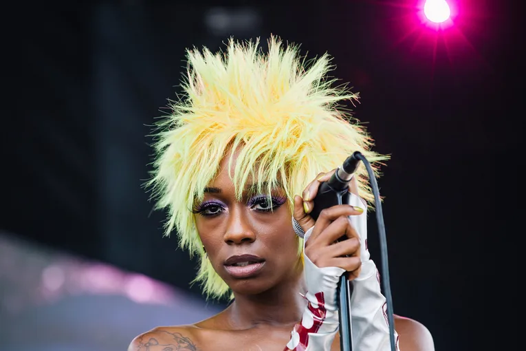 Why Did Armand Hammer Remove Junglepussy From Their Album