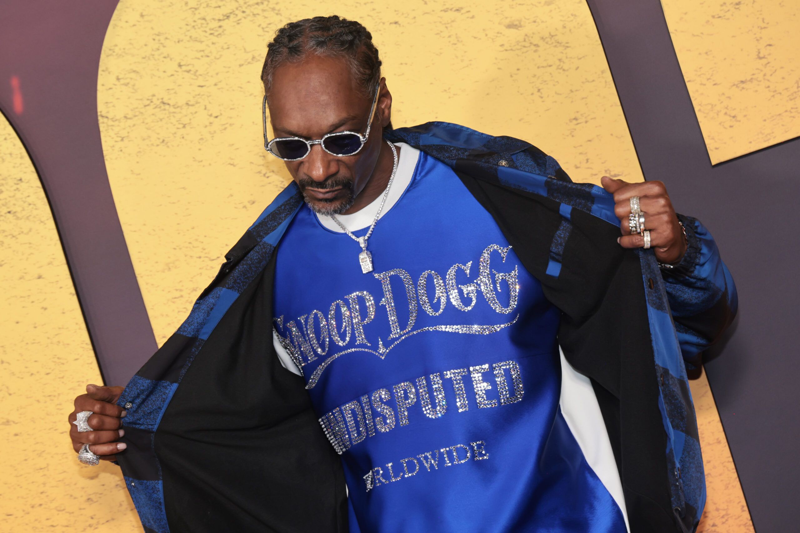 Snoop Dogg Hints At 2025 Tour To Support New "Missionary" Album ...