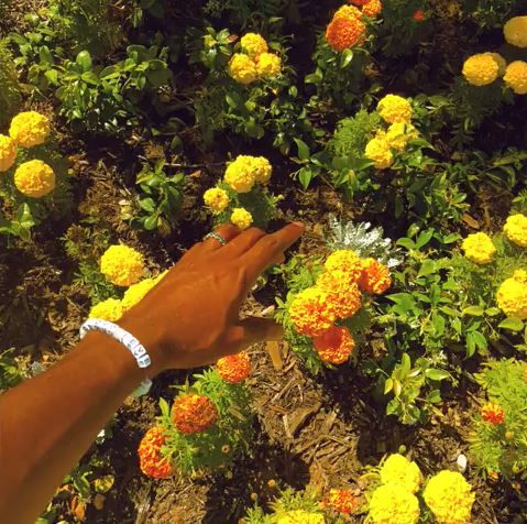 Tyler, The Creator Drops Another Remix With "Peach Fuzz"